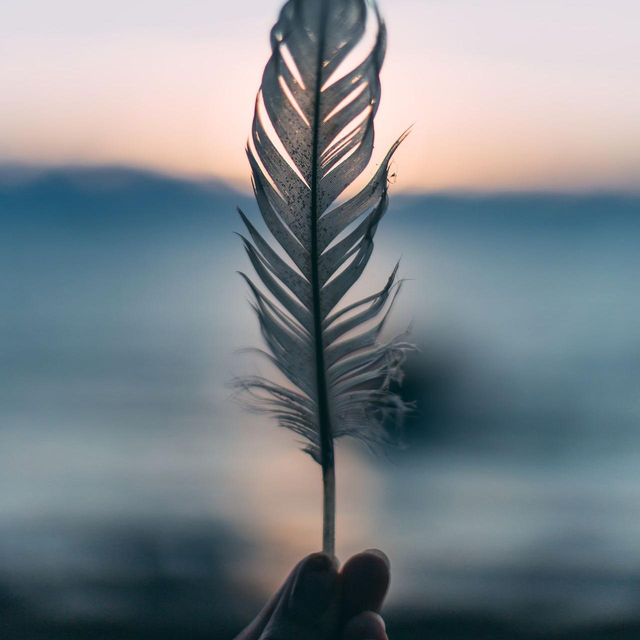 tilt shift lens photography of person holding white feather